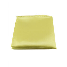 Pochette de costume