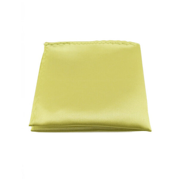 Pochette de costume