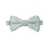 Noeud papillon vert d'eau