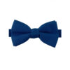 Noeud papillon bleu roi