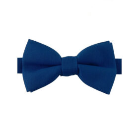 Noeud papillon bleu roi