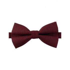 Noeud papillon Bordeaux