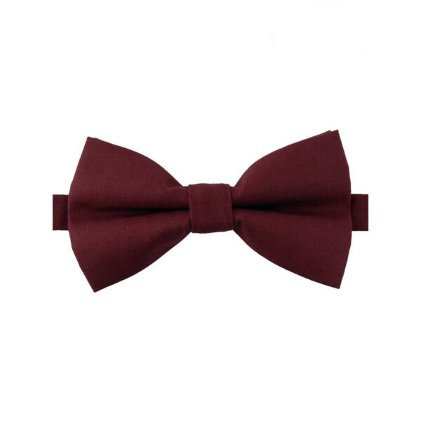 Noeud papillon Bordeaux