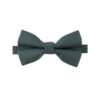 Noeud papillon vert de chrome