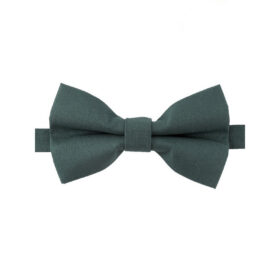 Noeud papillon vert de chrome