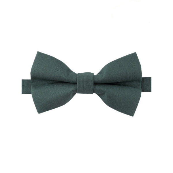 Noeud papillon vert de chrome