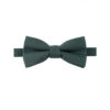 Nœud papillon vert de chrome pour enfant