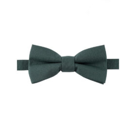 Nœud papillon vert de chrome pour enfant