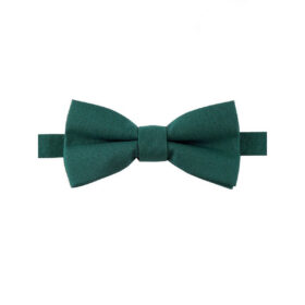 Nœud papillon vert sapin pour enfant