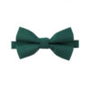 Noeud papillon vert sapin