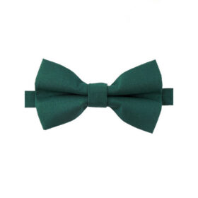 Noeud papillon vert sapin