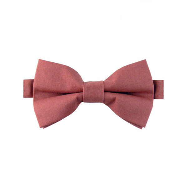 Noeud papillon Terracotta
