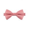Noeud papillon saumon