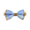 Noeud papillon Design bleu et or