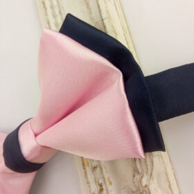 Noeud papillon rose et bleu