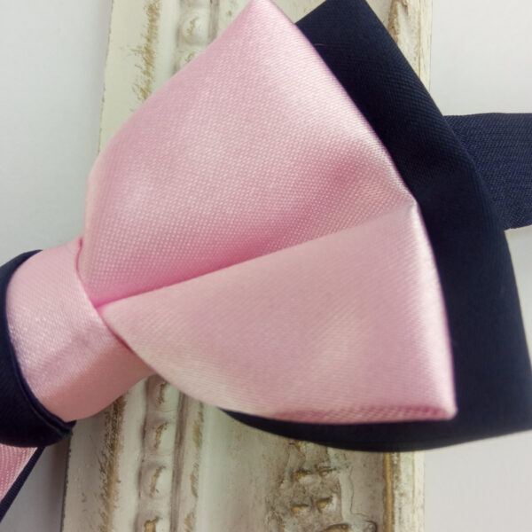 Noeud papillon rose et bleu pour enfant
