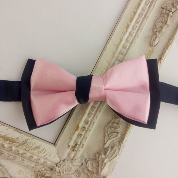 Noeud papillon rose et bleu pour enfant