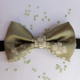 Noeud papillon vert sauge