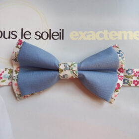 Noeud papillon bleu et Liberty rose