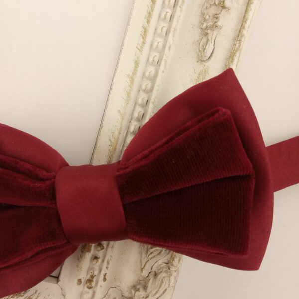 Noeud papillon bordeaux