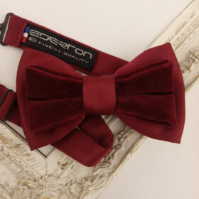 Noeud papillon bordeaux