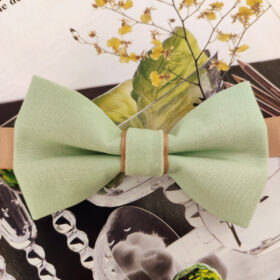 Noeud papillon Vert tilleul