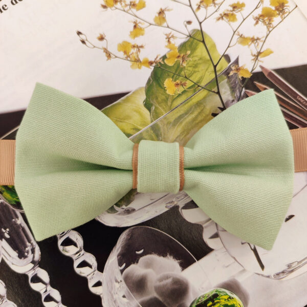 Noeud papillon Vert tilleul