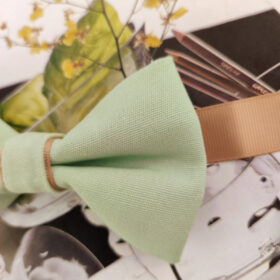 Noeud papillon Vert tilleul