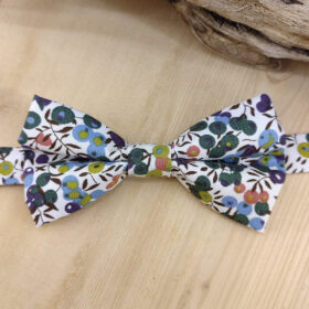 Noeud papillon Wiltshire vert et terracotta