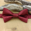 Noeud papillon bordeaux