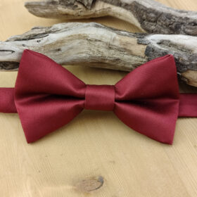 Noeud papillon bordeaux