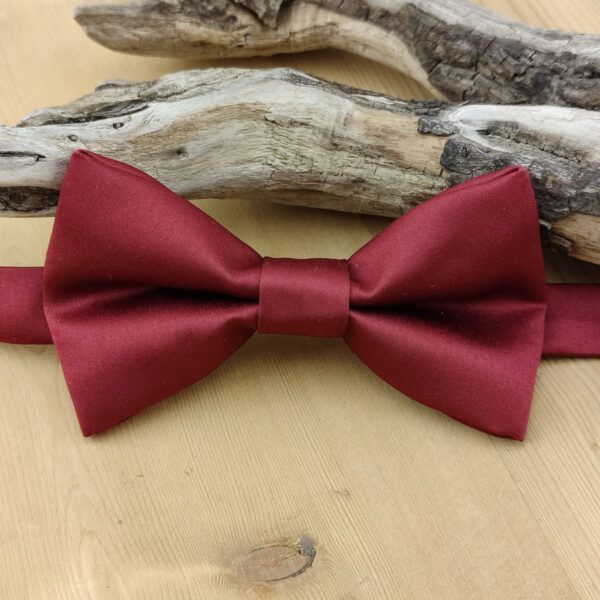 Noeud papillon bordeaux