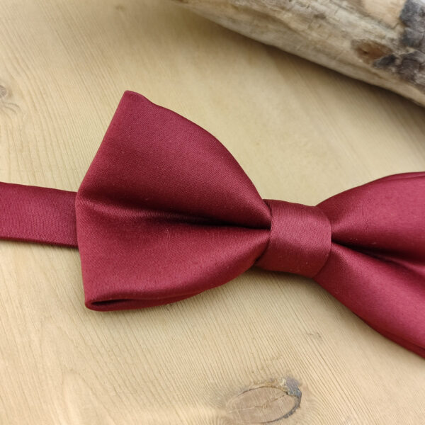 Noeud papillon bordeaux pour enfant