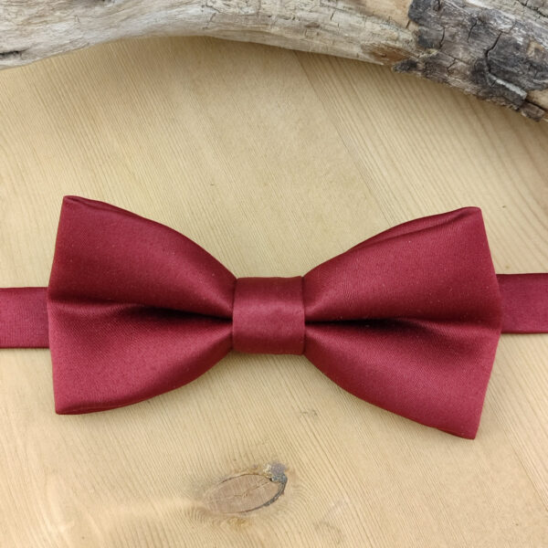 Noeud papillon bordeaux pour enfant