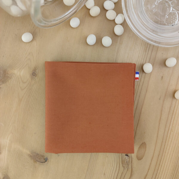Pochette de costume Terracotta