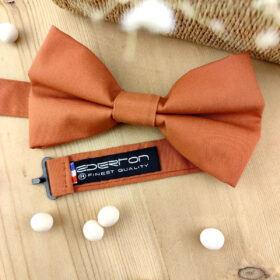 Noeud papillon terracotta