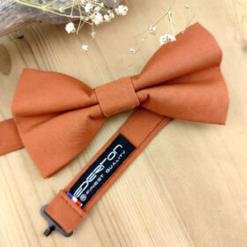Noeud papillon double terracotta