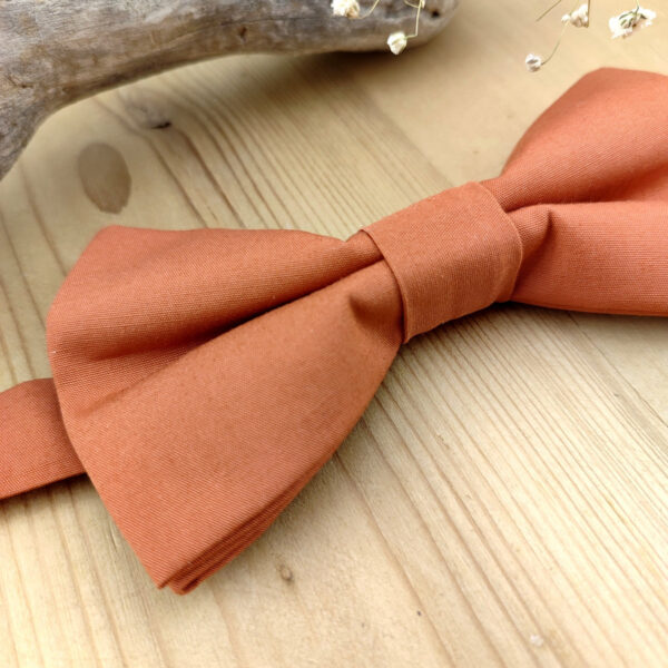 Noeud papillon double terracotta