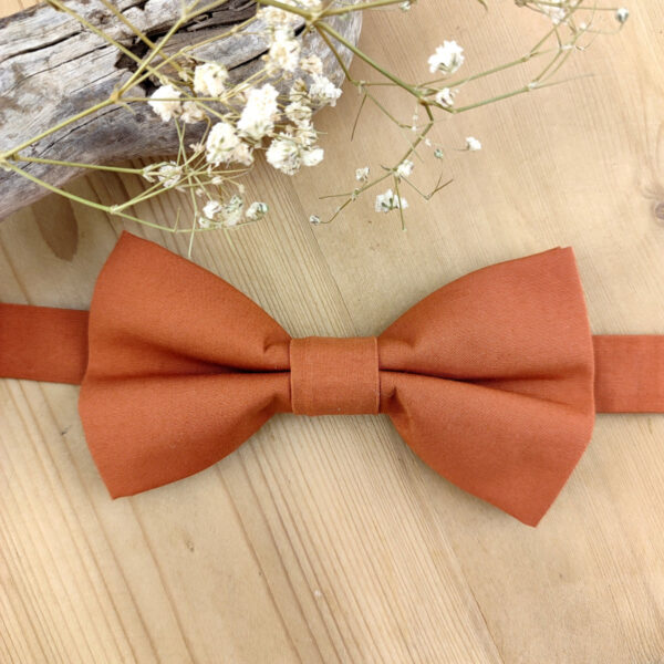 Noeud papillon double terracotta